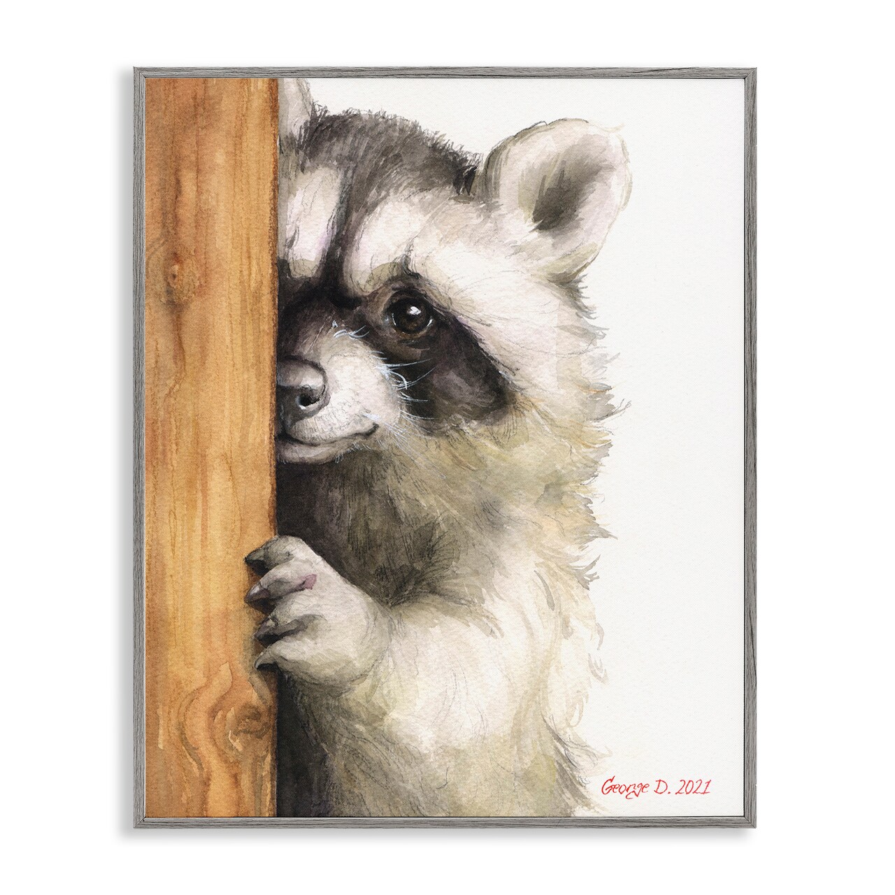 Stupell Industries Peering Raccoon Watercolor Framed Giclee Art